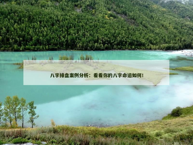 八字排盘案例分析：看看你的八字命运如何！