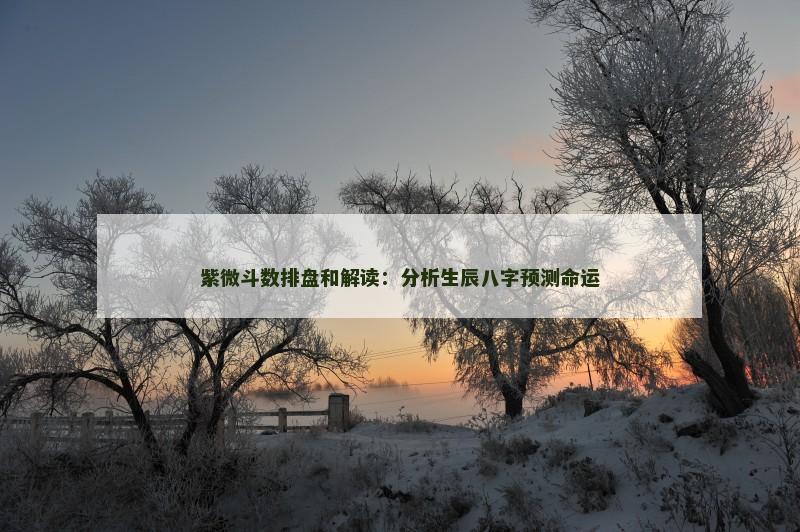 紫微斗数排盘和解读：分析生辰八字预测命运