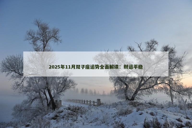 2025年11月双子座运势全面解读：财运平稳
