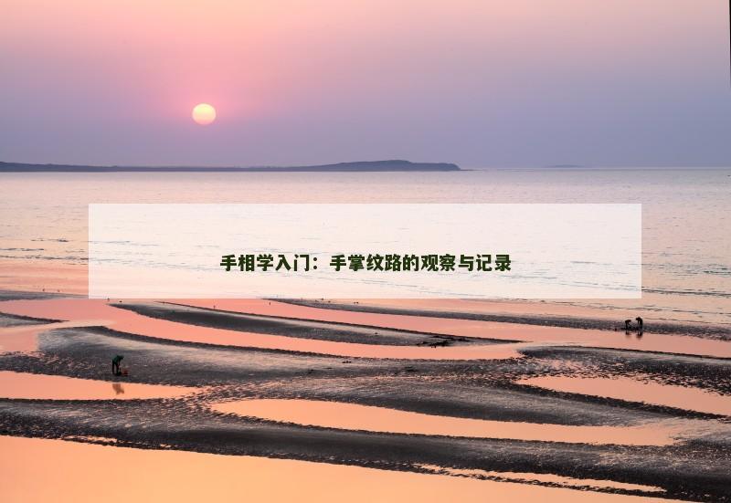 手相学入门：手掌纹路的观察与记录