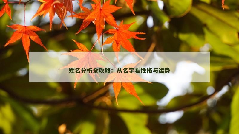 姓名分析全攻略：从名字看性格与运势