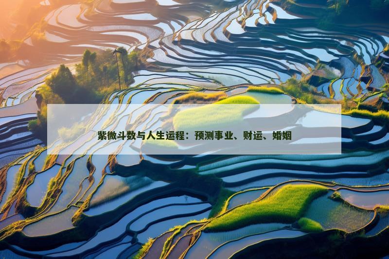 紫微斗数与人生运程：预测事业、财运、婚姻