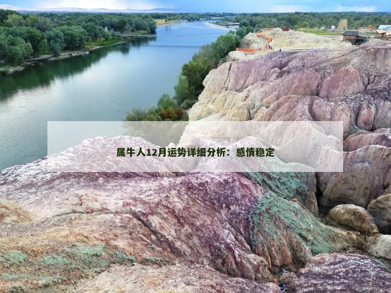 属牛人12月运势详细分析：感情稳定