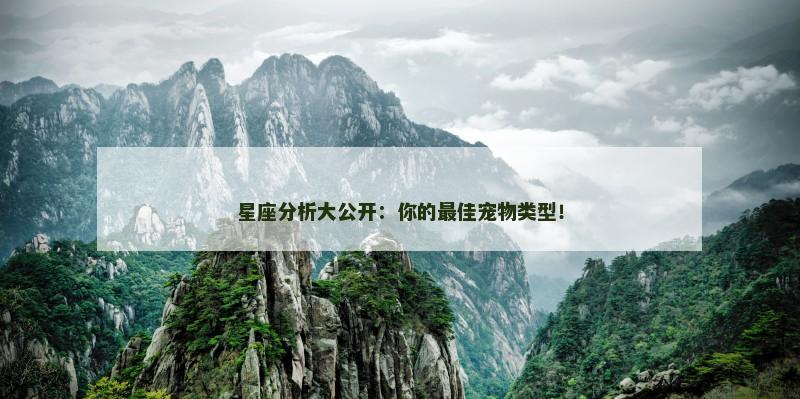 星座分析大公开：你的最佳宠物类型！