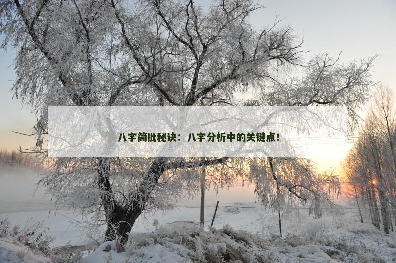 八字简批秘诀：八字分析中的关键点！