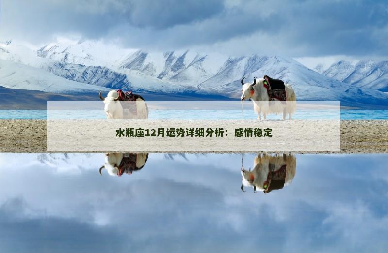水瓶座12月运势详细分析：感情稳定