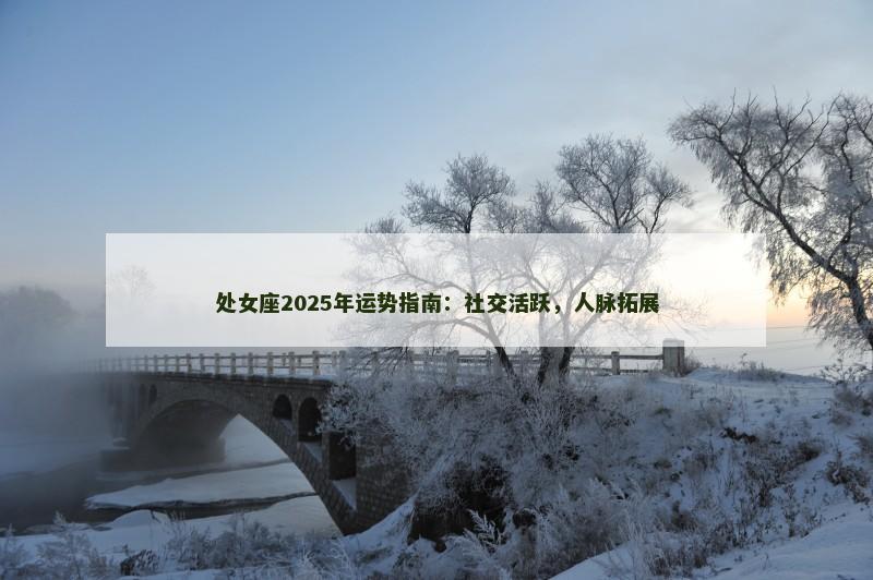 处女座2025年运势指南：社交活跃，人脉拓展