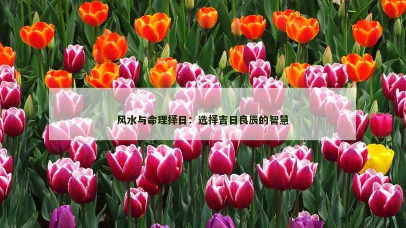 风水与命理择日：选择吉日良辰的智慧