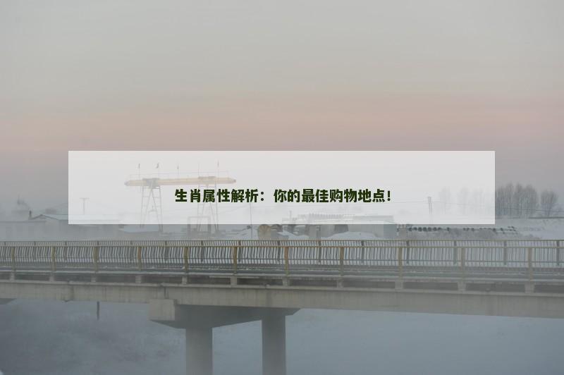 生肖属性解析：你的最佳购物地点！