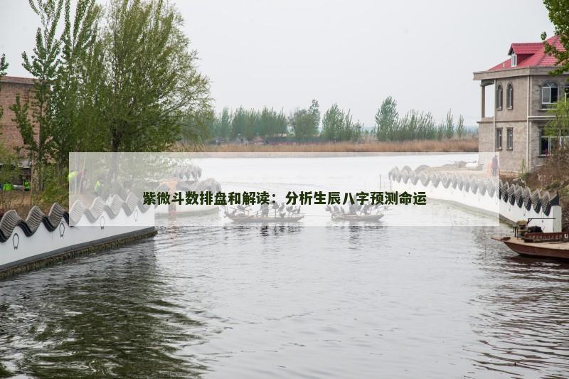 紫微斗数排盘和解读：分析生辰八字预测命运