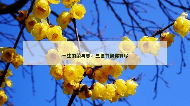 一生的荣与辱，三世书帮你算尽