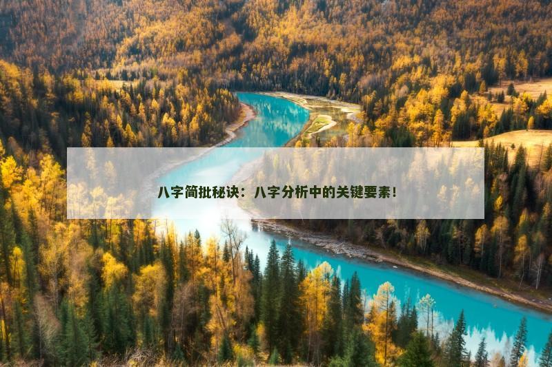 八字简批秘诀：八字分析中的关键要素！