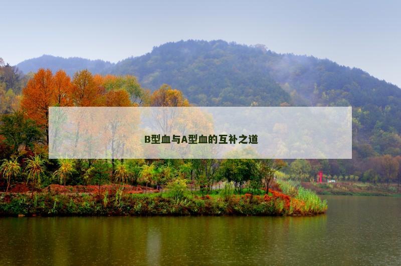 B型血与A型血的互补之道