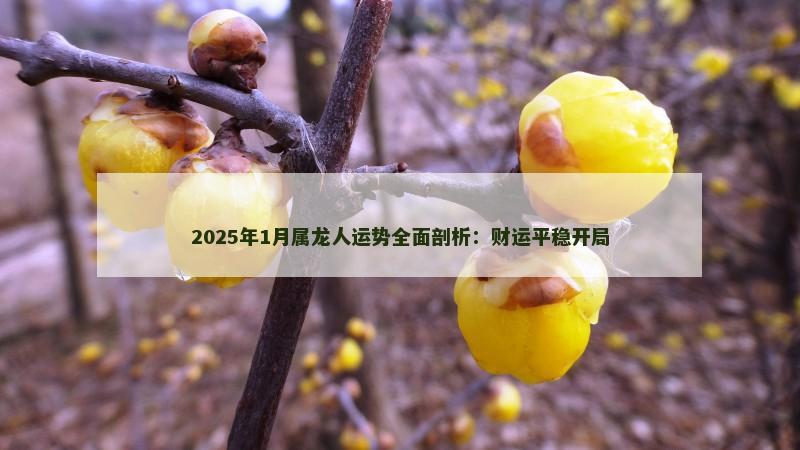 2025年1月属龙人运势全面剖析：财运平稳开局