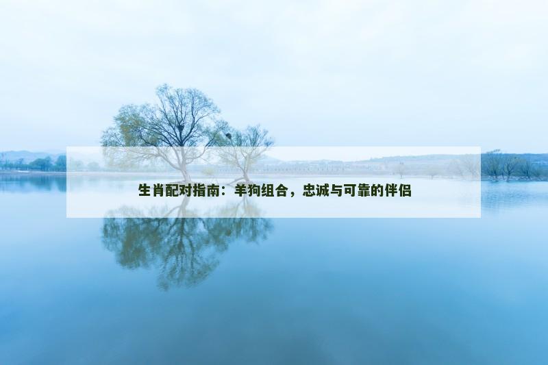 生肖配对指南：羊狗组合，忠诚与可靠的伴侣