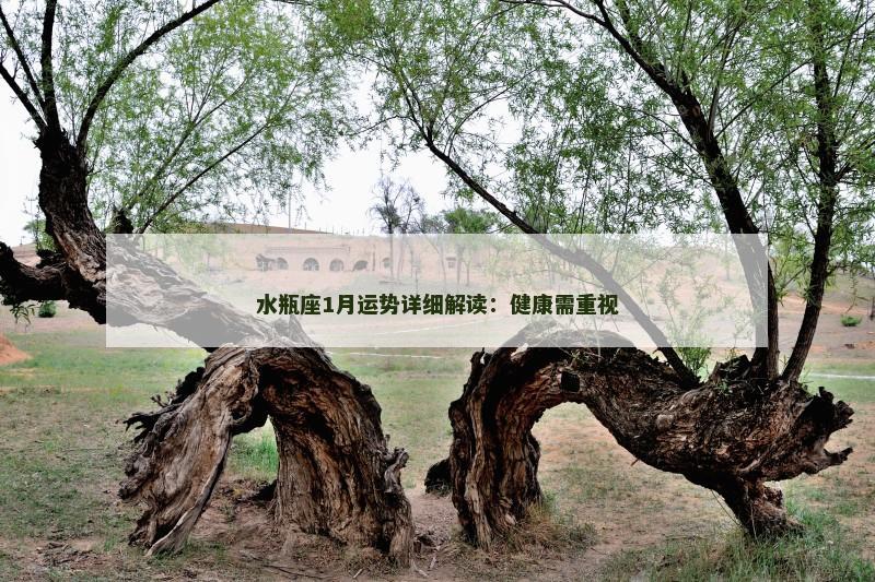 水瓶座1月运势详细解读：健康需重视