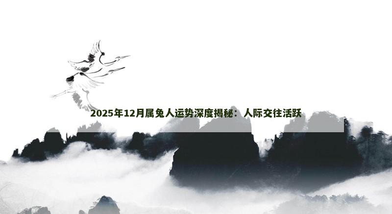 2025年12月属兔人运势深度揭秘：人际交往活跃