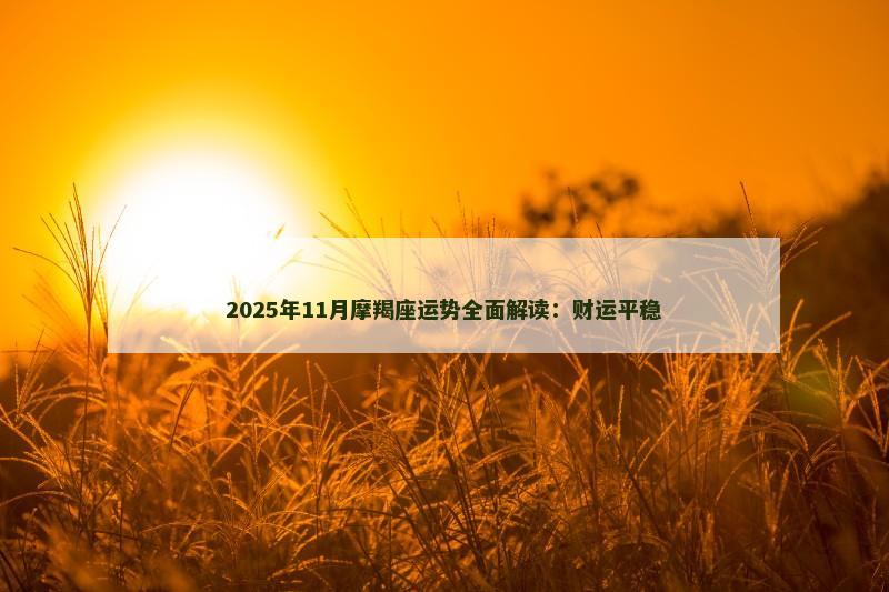 2025年11月摩羯座运势全面解读：财运平稳