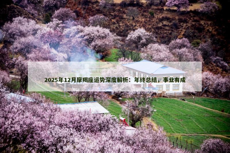 2025年12月摩羯座运势深度解析：年终总结，事业有成