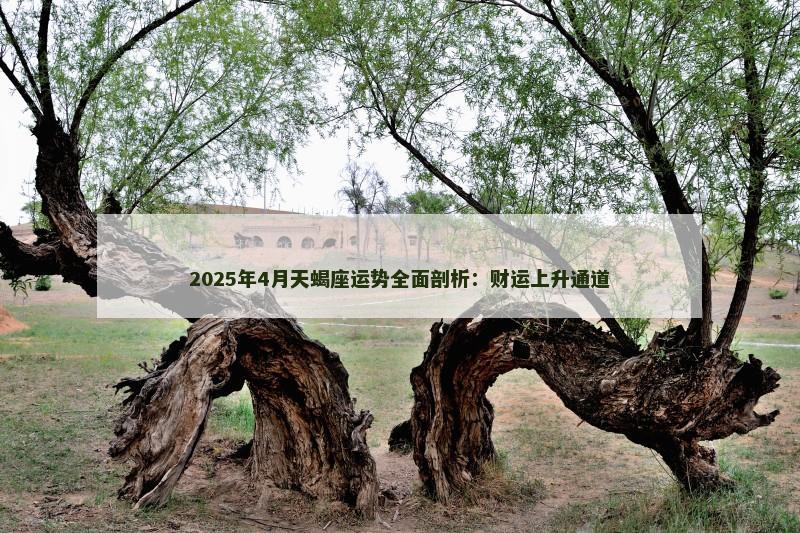 2025年4月天蝎座运势全面剖析：财运上升通道