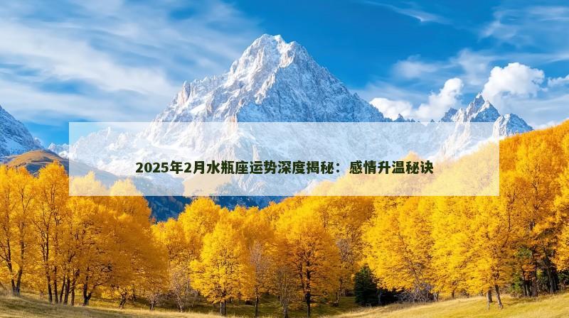 2025年2月水瓶座运势深度揭秘：感情升温秘诀