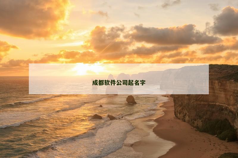 成都软件公司起名字