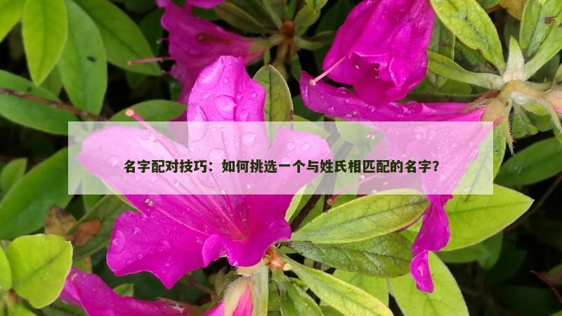 名字配对技巧：如何挑选一个与姓氏相匹配的名字？