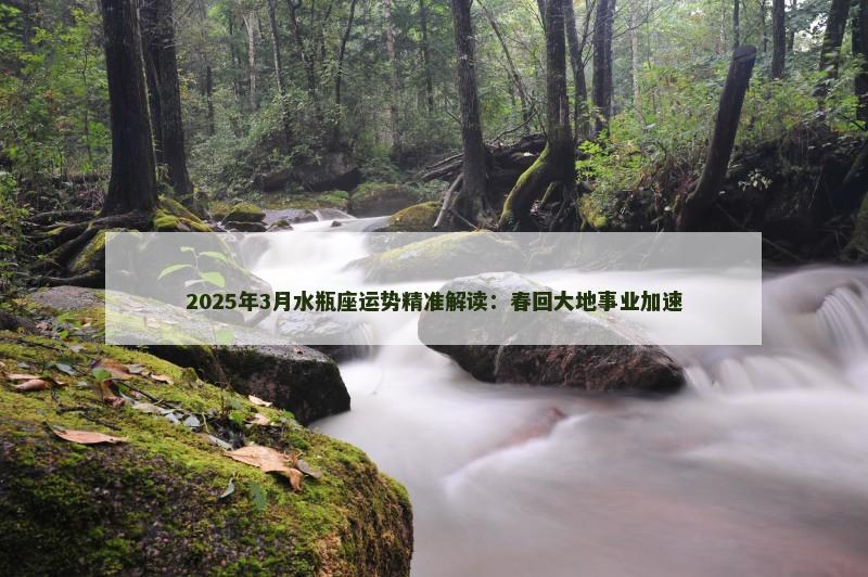 2025年3月水瓶座运势精准解读：春回大地事业加速