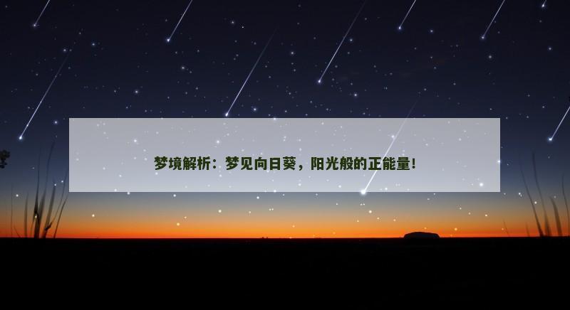 梦境解析：梦见向日葵，阳光般的正能量！