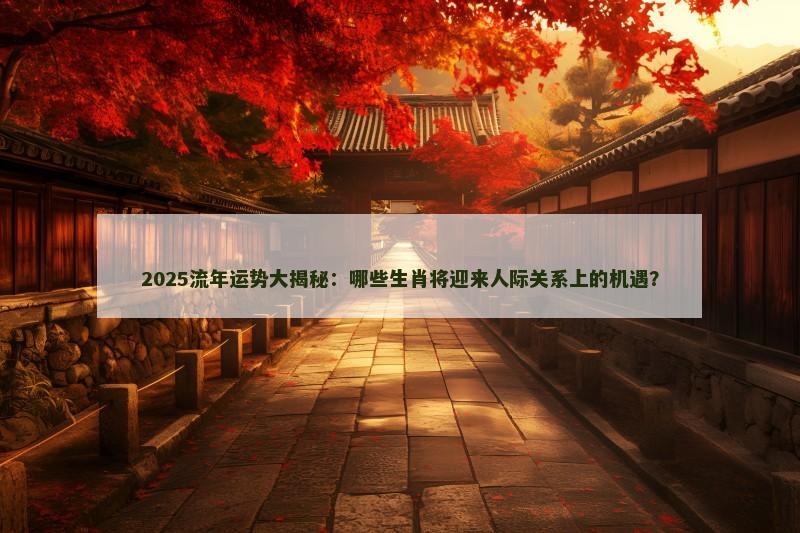 2025流年运势大揭秘：哪些生肖将迎来人际关系上的机遇？
