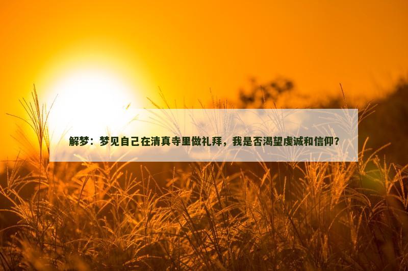 解梦：梦见自己在清真寺里做礼拜，我是否渴望虔诚和信仰？
