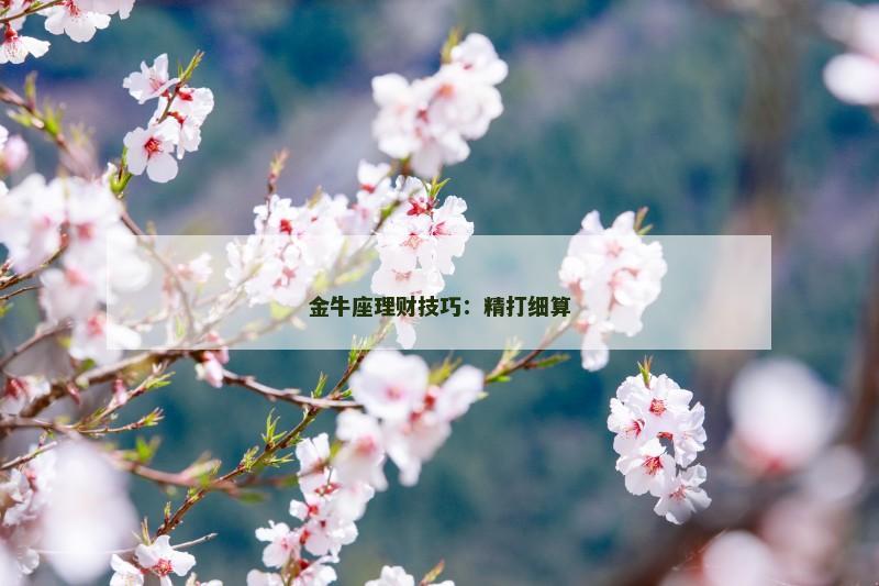 金牛座理财技巧：精打细算