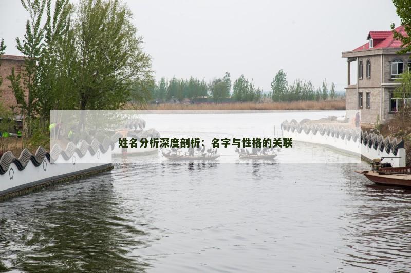 姓名分析深度剖析：名字与性格的关联