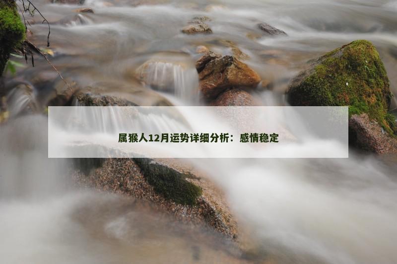 属猴人12月运势详细分析：感情稳定