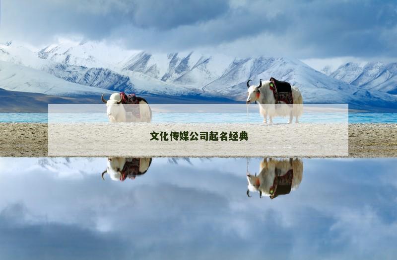 文化传媒公司起名经典