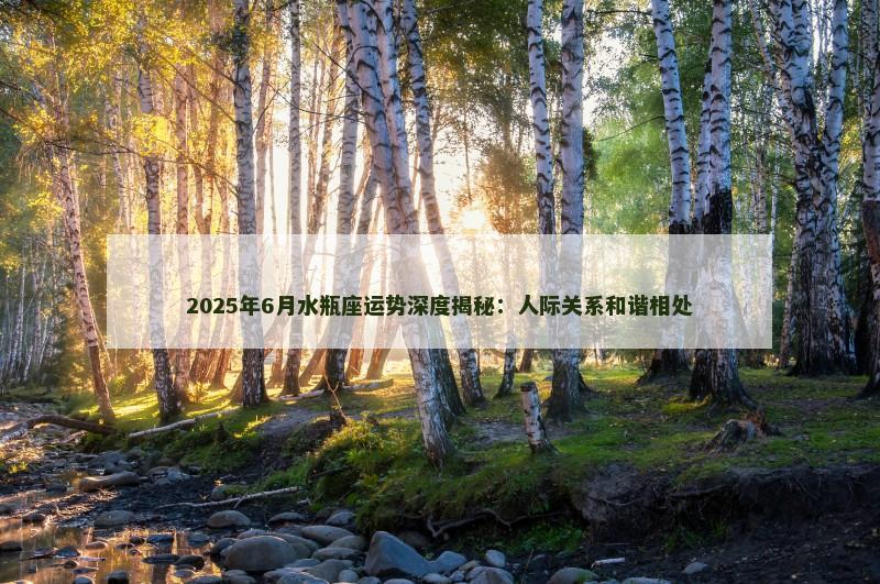 2025年6月水瓶座运势深度揭秘：人际关系和谐相处