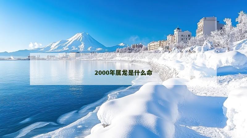 2000年属龙是什么命