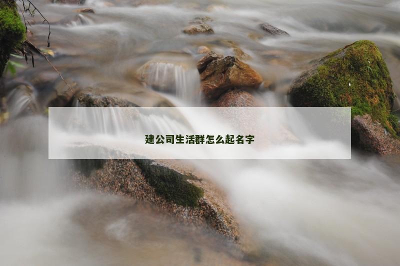 建公司生活群怎么起名字