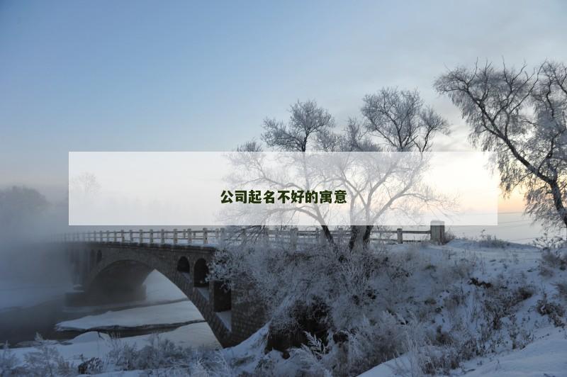 公司起名不好的寓意