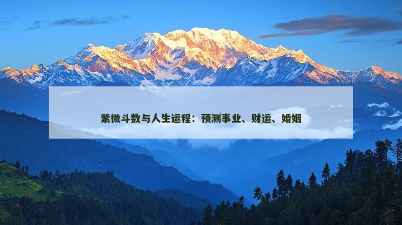 紫微斗数与人生运程：预测事业、财运、婚姻