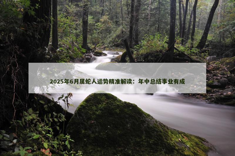 2025年6月属蛇人运势精准解读：年中总结事业有成