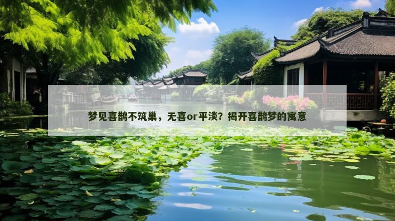 梦见喜鹊不筑巢，无喜or平淡？揭开喜鹊梦的寓意