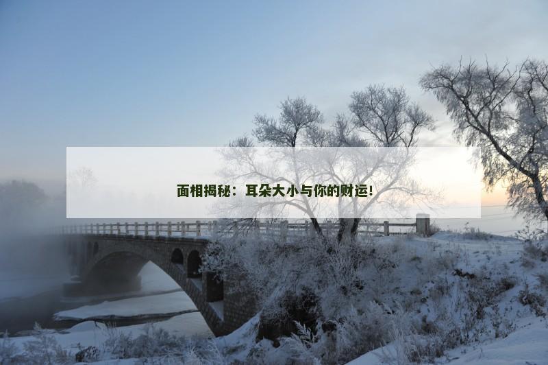 面相揭秘：耳朵大小与你的财运！