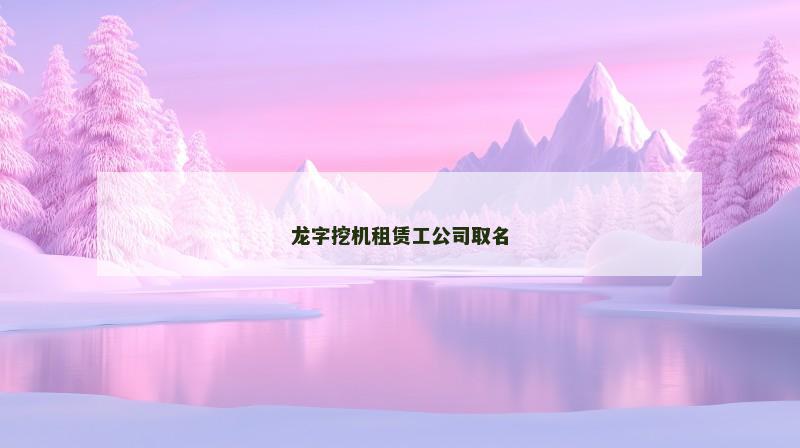 龙字挖机租赁工公司取名