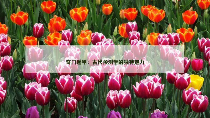 奇门遁甲：古代预测学的独特魅力