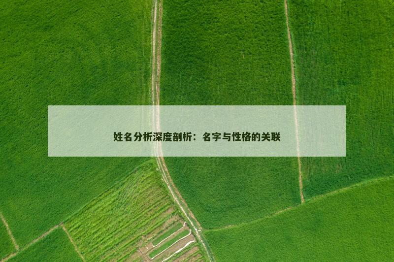 姓名分析深度剖析：名字与性格的关联