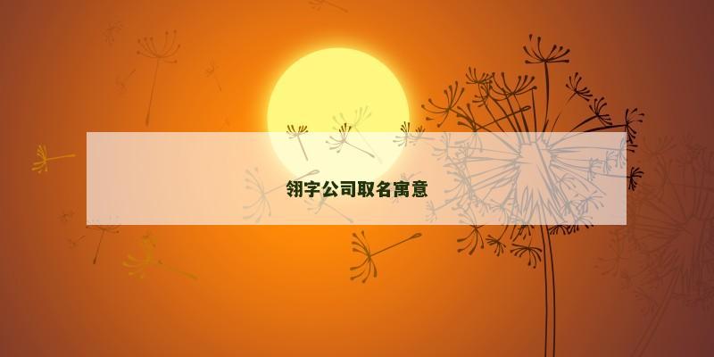 翎字公司取名寓意