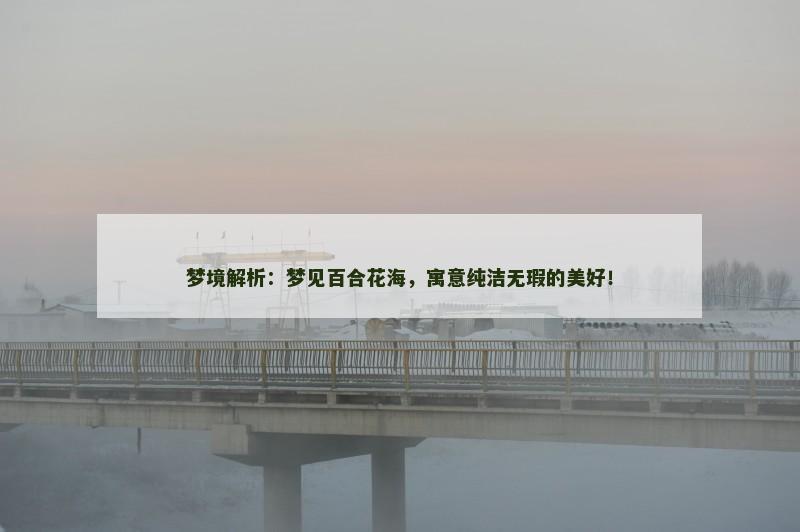 梦境解析：梦见百合花海，寓意纯洁无瑕的美好！