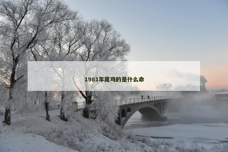 1981年属鸡的是什么命