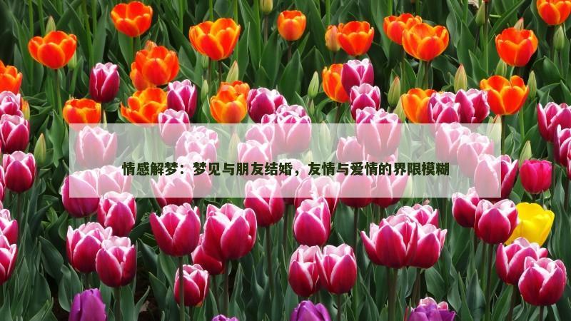 情感解梦：梦见与朋友结婚，友情与爱情的界限模糊